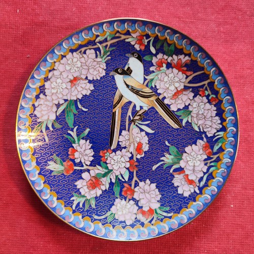 Chinesische sammelteller - chinesische,