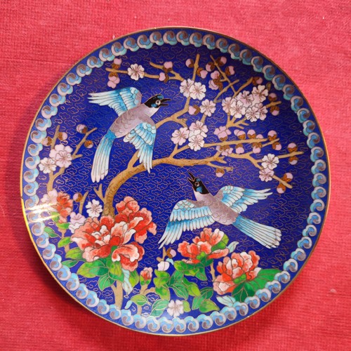Chinesische sammelteller - chinesische,
